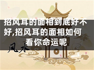 招风耳的面相到底好不好,招风耳的面相如何看你命运呢