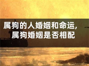 属狗的人婚姻和命运,属狗婚姻是否相配