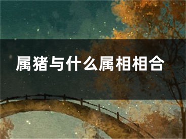 属猪与什么属相相合