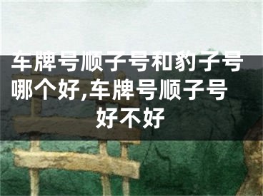 车牌号顺子号和豹子号哪个好,车牌号顺子号好不好