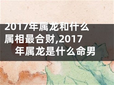 2017年属龙和什么属相最合财,2017年属龙是什么命男