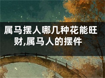 属马摆人哪几种花能旺财,属马人的摆件