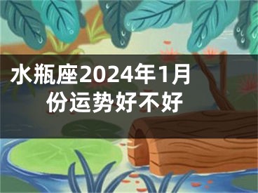 水瓶座2024年1月份运势好不好 