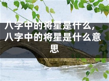 八字中的将星是什么,八字中的将星是什么意思