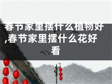春节家里摆什么植物好,春节家里摆什么花好看