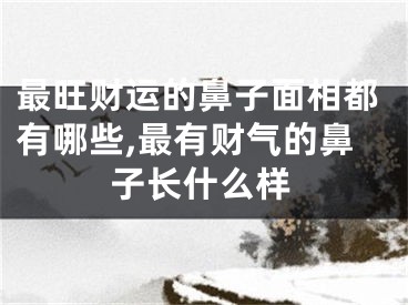 最旺财运的鼻子面相都有哪些,最有财气的鼻子长什么样