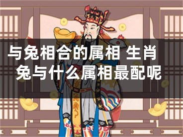 与兔相合的属相 生肖兔与什么属相最配呢
