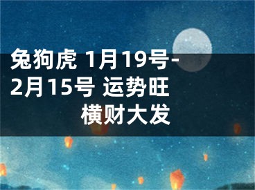 兔狗虎 1月19号-2月15号 运势旺 横财大发