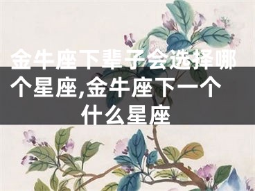 金牛座下辈子会选择哪个星座,金牛座下一个什么星座