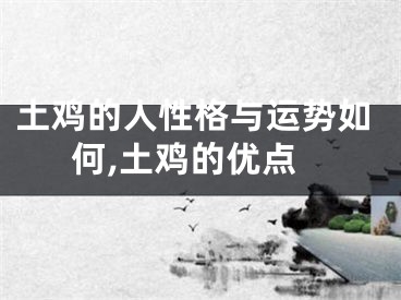 土鸡的人性格与运势如何,土鸡的优点