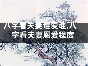 八字看夫妻谁爱谁,八字看夫妻恩爱程度