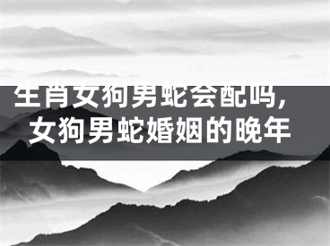 生肖女狗男蛇会配吗,女狗男蛇婚姻的晚年
