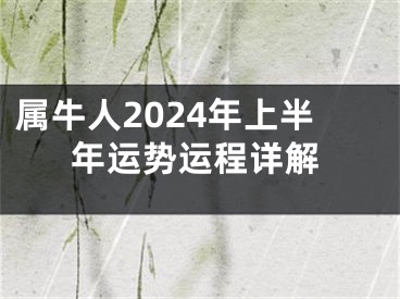属牛人2024年上半年运势运程详解