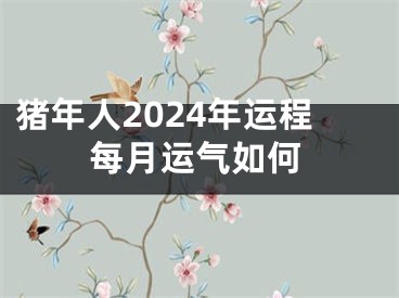 猪年人2024年运程每月运气如何