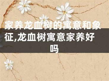 家养龙血树的寓意和象征,龙血树寓意家养好吗