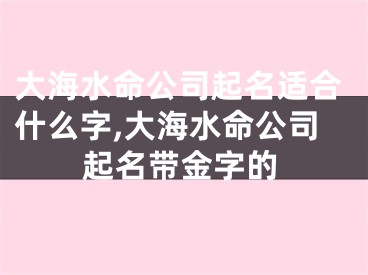 大海水命公司起名适合什么字,大海水命公司起名带金字的