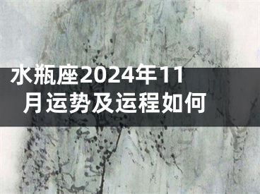 水瓶座2024年11月运势及运程如何 
