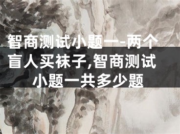 智商测试小题一-两个盲人买袜子,智商测试小题一共多少题
