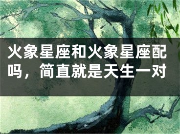 火象星座和火象星座配吗，简直就是天生一对