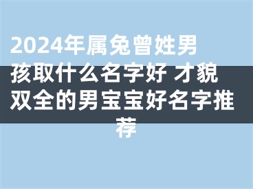 2024年属兔曾姓男孩取什么名字好 才貌双全的男宝宝好名字推荐