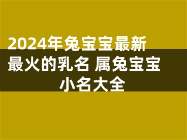 2024年兔宝宝最新最火的乳名 属兔宝宝小名大全