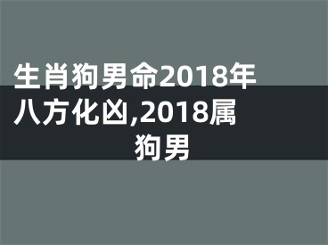 生肖狗男命2018年八方化凶,2018属狗男