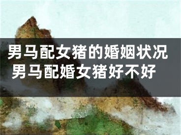 男马配女猪的婚姻状况 男马配婚女猪好不好