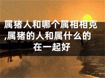 属猪人和哪个属相相克,属猪的人和属什么的在一起好