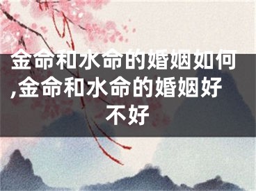 金命和水命的婚姻如何,金命和水命的婚姻好不好