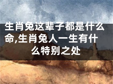 生肖兔这辈子都是什么命,生肖兔人一生有什么特别之处