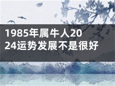 1985年属牛人2024运势发展不是很好