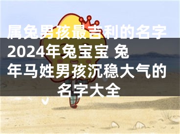 属兔男孩最吉利的名字2024年兔宝宝 兔年马姓男孩沉稳大气的名字大全