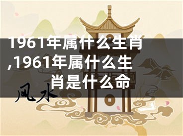 1961年属什么生肖,1961年属什么生肖是什么命