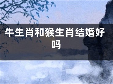 牛生肖和猴生肖结婚好吗