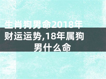 生肖狗男命2018年财运运势,18年属狗男什么命
