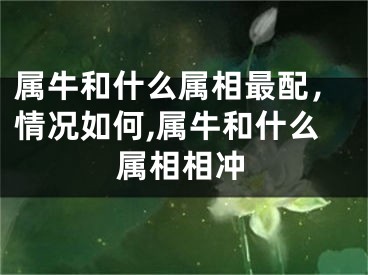 属牛和什么属相最配，情况如何,属牛和什么属相相冲