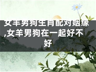 女羊男狗生肖配对姻缘,女羊男狗在一起好不好
