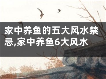 家中养鱼的五大风水禁忌,家中养鱼6大风水