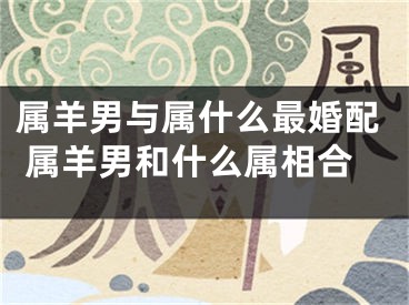 属羊男与属什么最婚配 属羊男和什么属相合