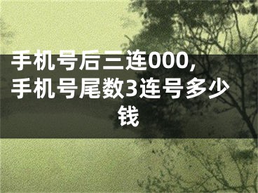 手机号后三连000,手机号尾数3连号多少钱
