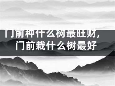 门前种什么树最旺财,门前栽什么树最好