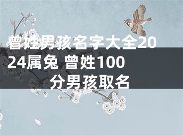 曾姓男孩名字大全2024属兔 曾姓100分男孩取名