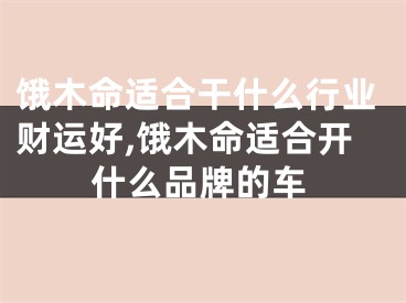 饿木命适合干什么行业财运好,饿木命适合开什么品牌的车