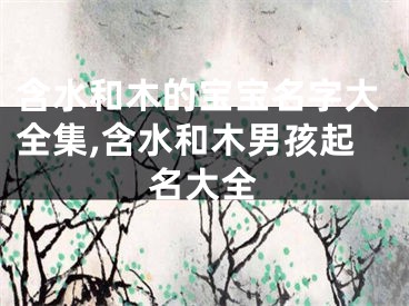 含水和木的宝宝名字大全集,含水和木男孩起名大全