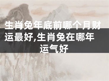 生肖兔年底前哪个月财运最好,生肖兔在哪年运气好