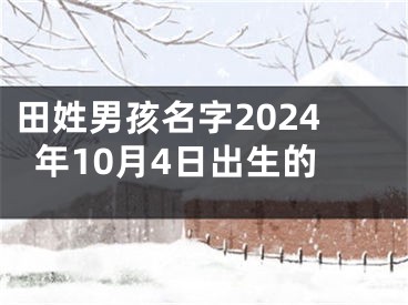 田姓男孩名字2024年10月4日出生的