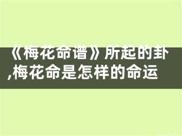 《梅花命谱》所起的卦,梅花命是怎样的命运