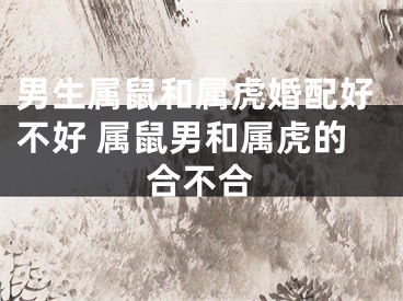 男生属鼠和属虎婚配好不好 属鼠男和属虎的合不合