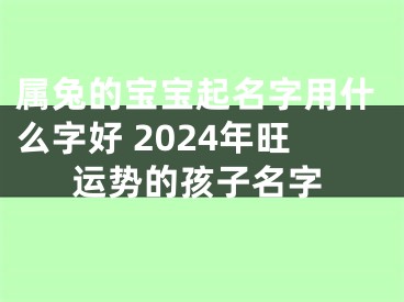 属兔的宝宝起名字用什么字好 2024年旺运势的孩子名字