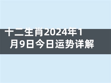 十二生肖2024年1月9日今日运势详解